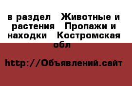  в раздел : Животные и растения » Пропажи и находки . Костромская обл.